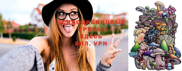 хмурый Белоозёрский