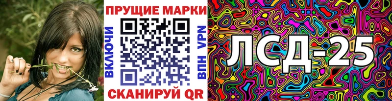 купить наркоту  Ковылкино  Наркотические марки 1,8мг 