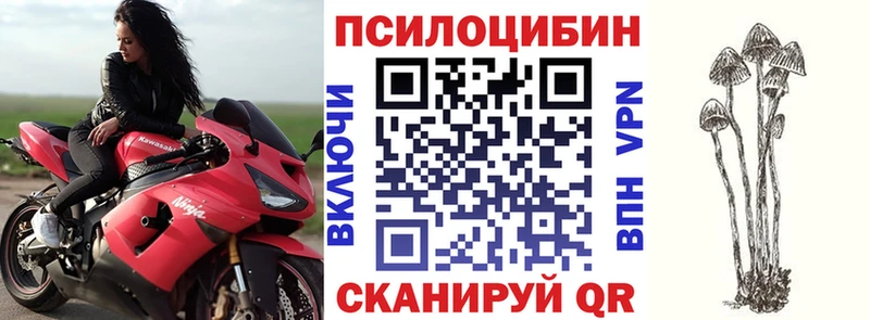 Галлюциногенные грибы мухоморы  Ковылкино 